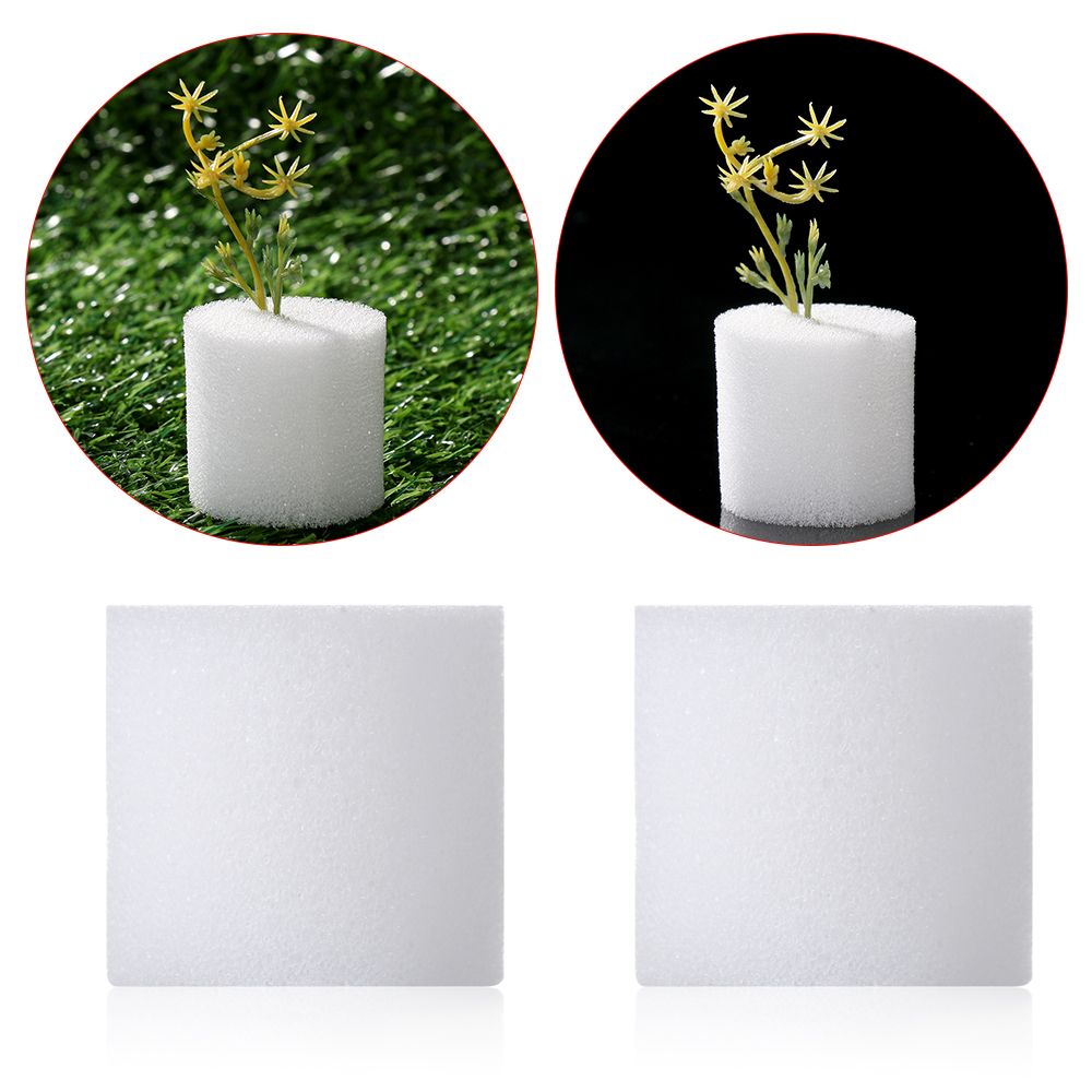 Aquarium Plant Seeds - 10/50pcs Durable Garden Supplies Aquarium Planting