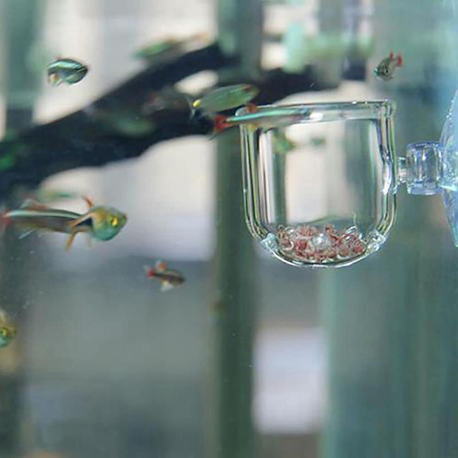 Aquarium Plant Pot Glass Cylin - огляд і ціна Aquarium Plant Seeds