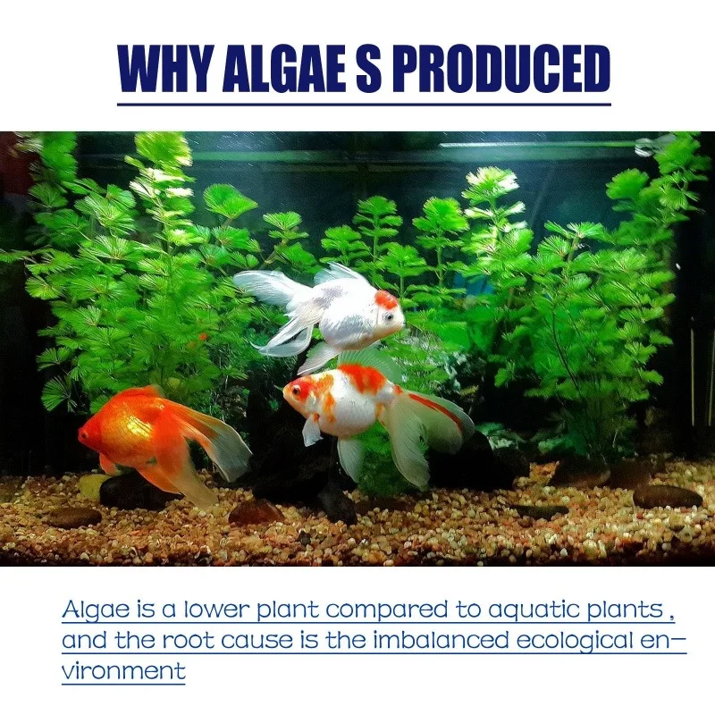 50g High Efficiency Algaecide  - огляд і ціна Aquarium Plant