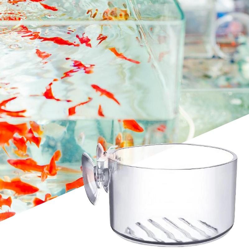 Aquarium Plant Pot Glass Cylin - огляд і ціна Aquarium Plant Seeds