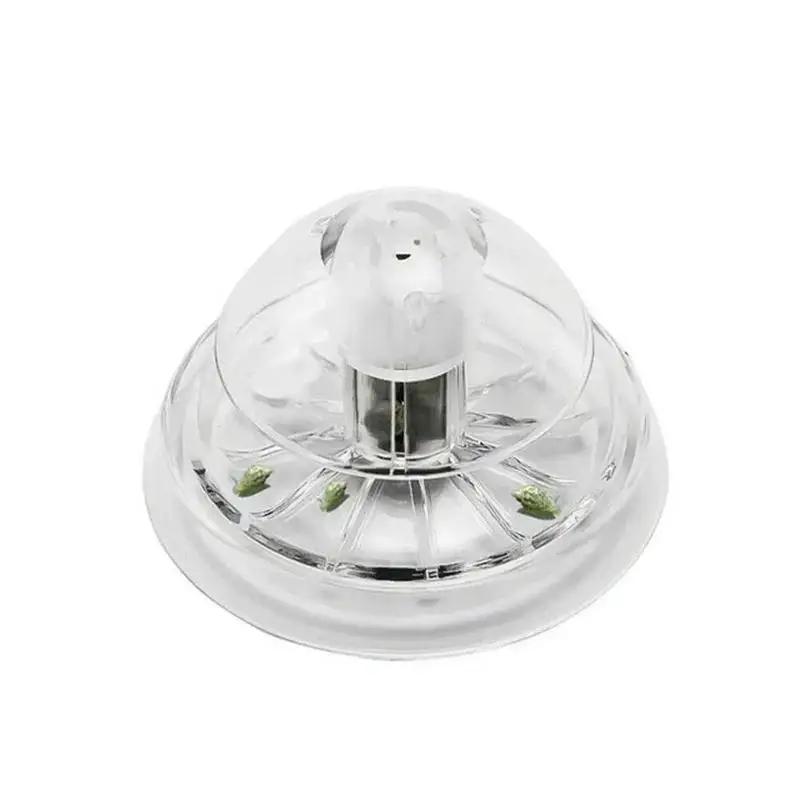 2026 New 6/8CM Clear Plastic S - огляд і ціна Aquarium Plant