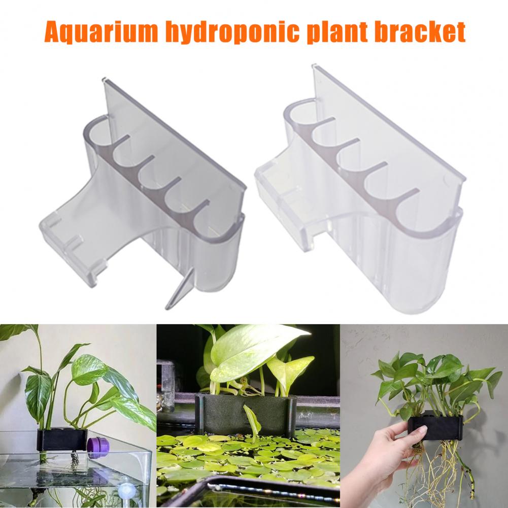 4.5/6.5cm Aquarium Plant Holde - огляд і ціна Aquarium Planted Tank