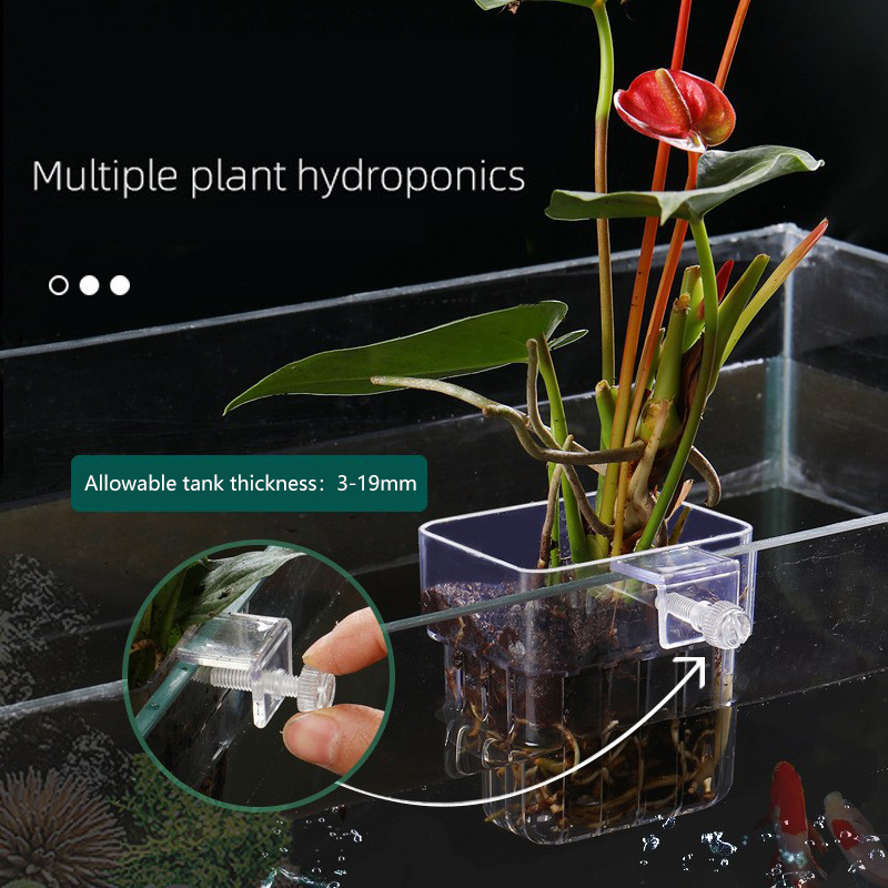 1Pc Aquarium Hydroponic Plant  - огляд і ціна Aquarium Plant Seeds