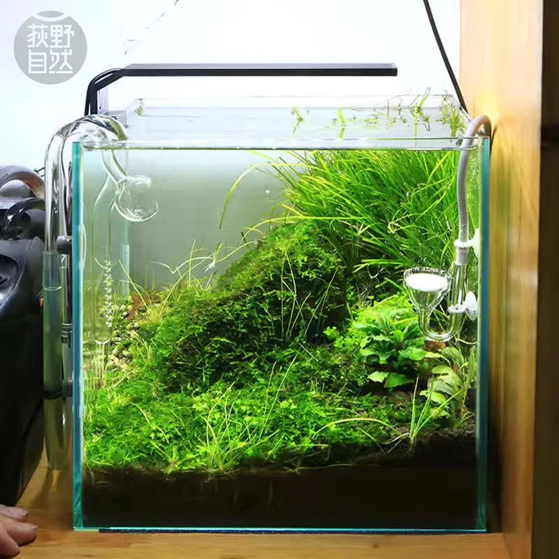 Chihiros C Series ADA Style Pl - огляд і ціна Planted Aquarium Mini