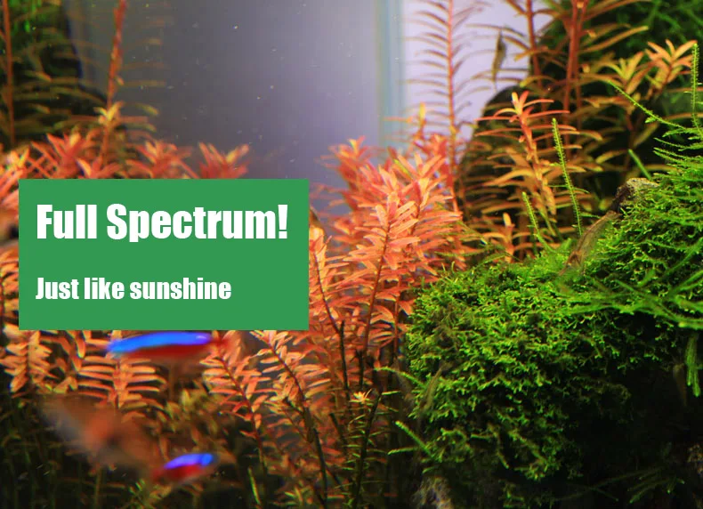 Chihiros C Series ADA Style Pl - огляд і ціна Planted Aquarium Mini
