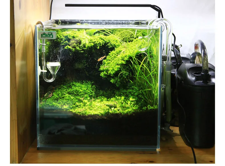 Chihiros C Series ADA Style Pl - огляд і ціна Planted Aquarium Mini