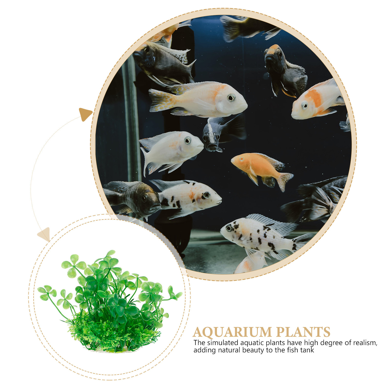 Premium Realistic Artificial A - огляд і ціна Aquarium Planted Set Up