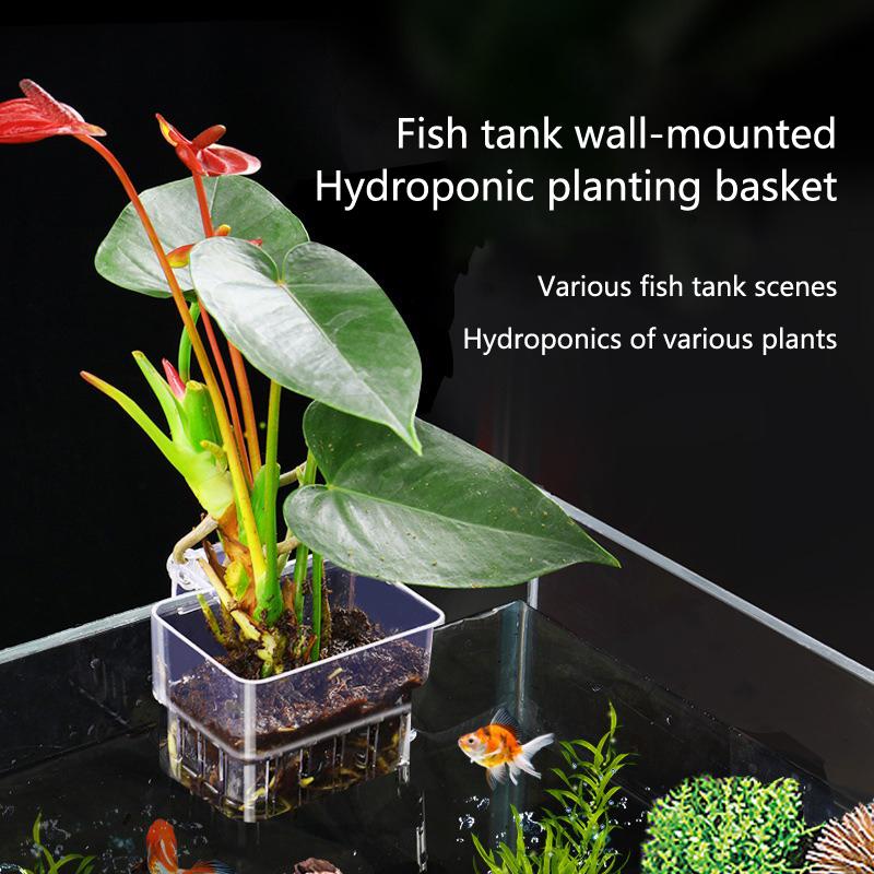 Aquarium Hydroponic Planting C - огляд і ціна Aquarium Planted Set Up