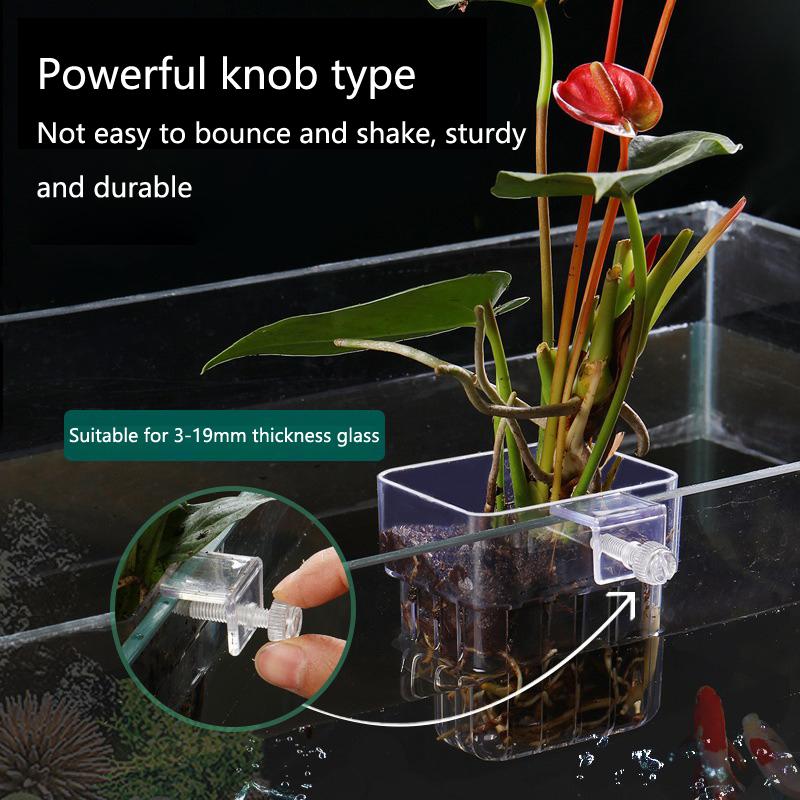 Aquarium Hydroponic Planting C - огляд і ціна Aquarium Planted Set Up