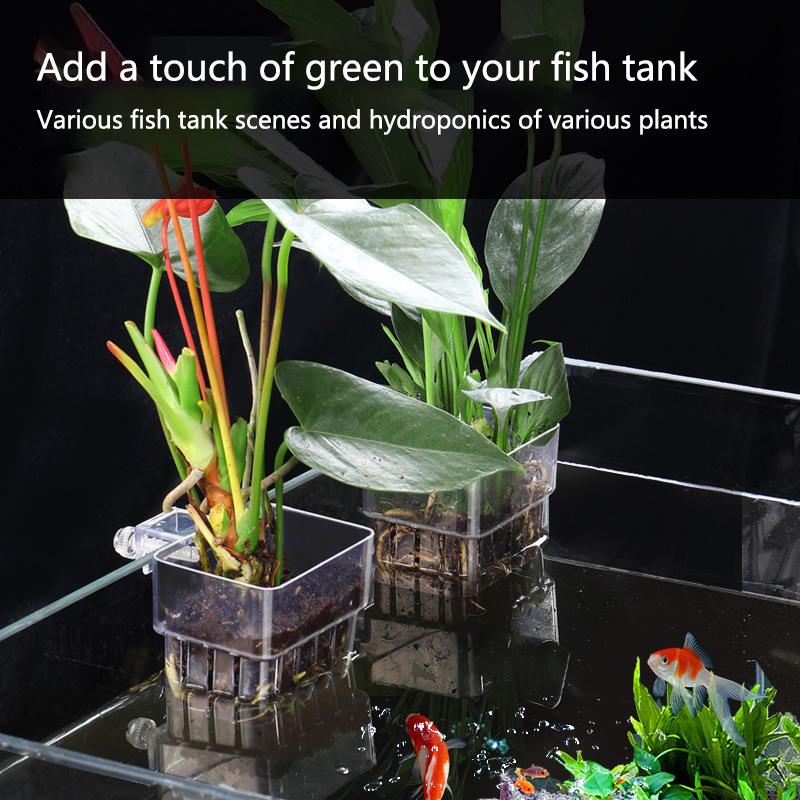 Aquarium Hydroponic Planting C - огляд і ціна Aquarium Planted Set Up