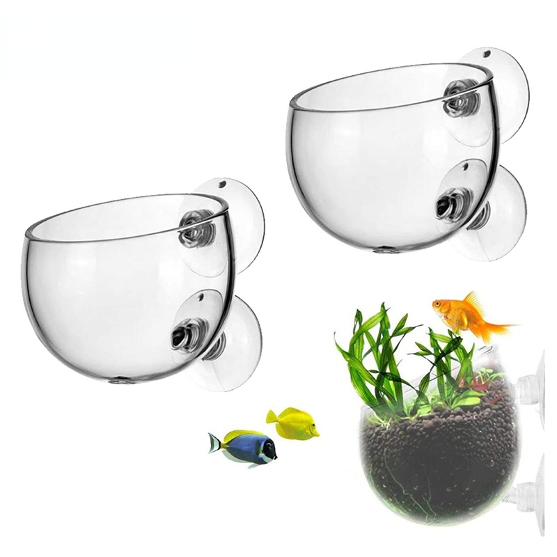 New Aquarium Plant Pot Glass C - огляд і ціна Aquarium Plant Seeds