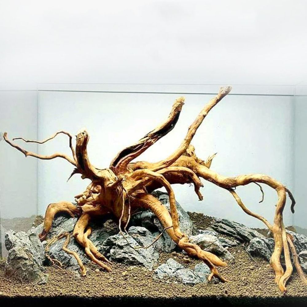 Natural Tree Trunk Aquarium De - огляд і ціна Aquarium Plant Roots