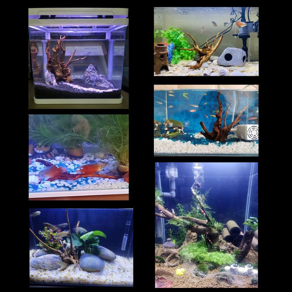 Natural Tree Trunk Aquarium De - огляд і ціна Aquarium Plant Roots