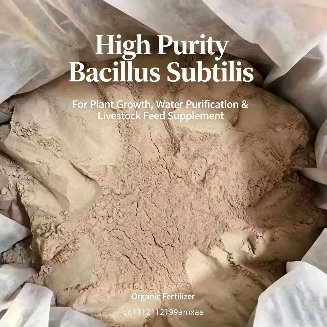 High Activity Bacillus Subtili - огляд і ціна Aquarium Plant Roots