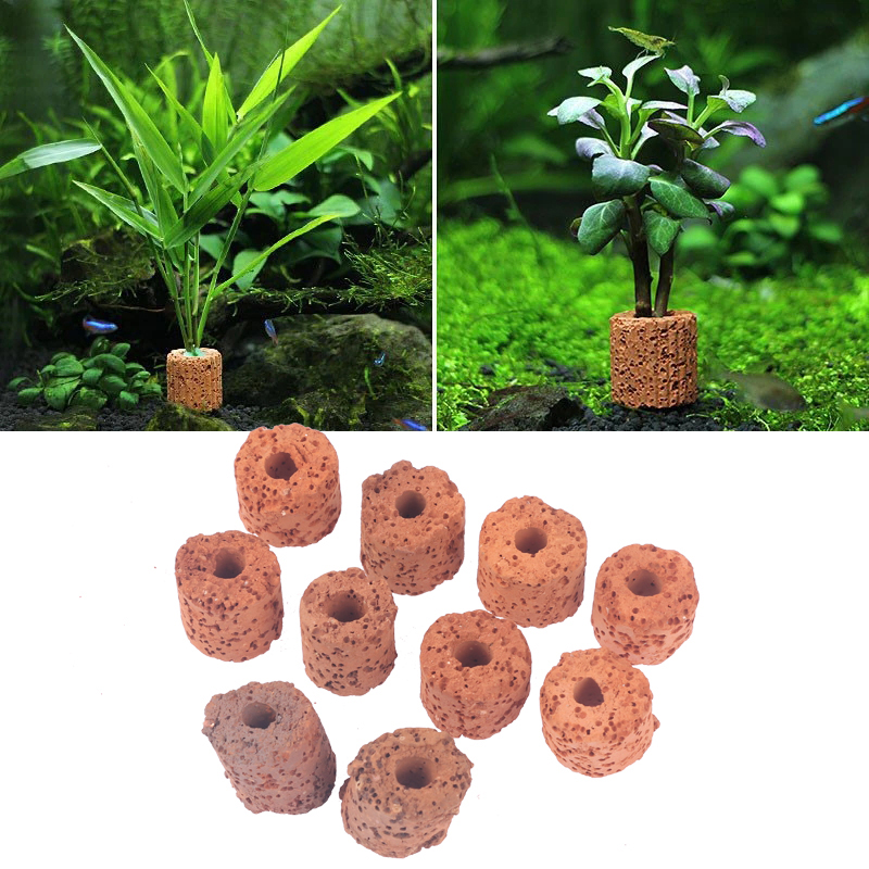 10Pcs Mini Aquatic Plant Ring  - огляд і ціна Aquarium Planted Set Up
