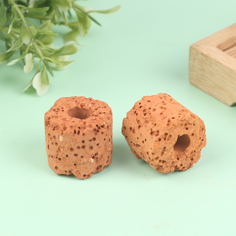 10Pcs Mini Aquatic Plant Ring  - огляд і ціна Aquarium Planted Set Up