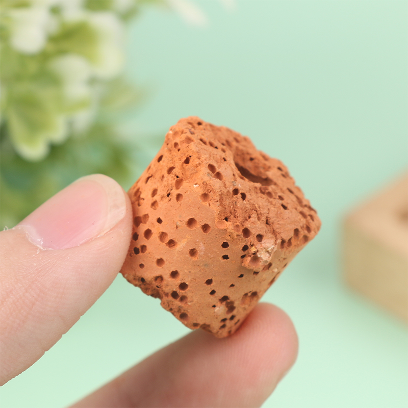 10Pcs Mini Aquatic Plant Ring  - огляд і ціна Aquarium Planted Set Up