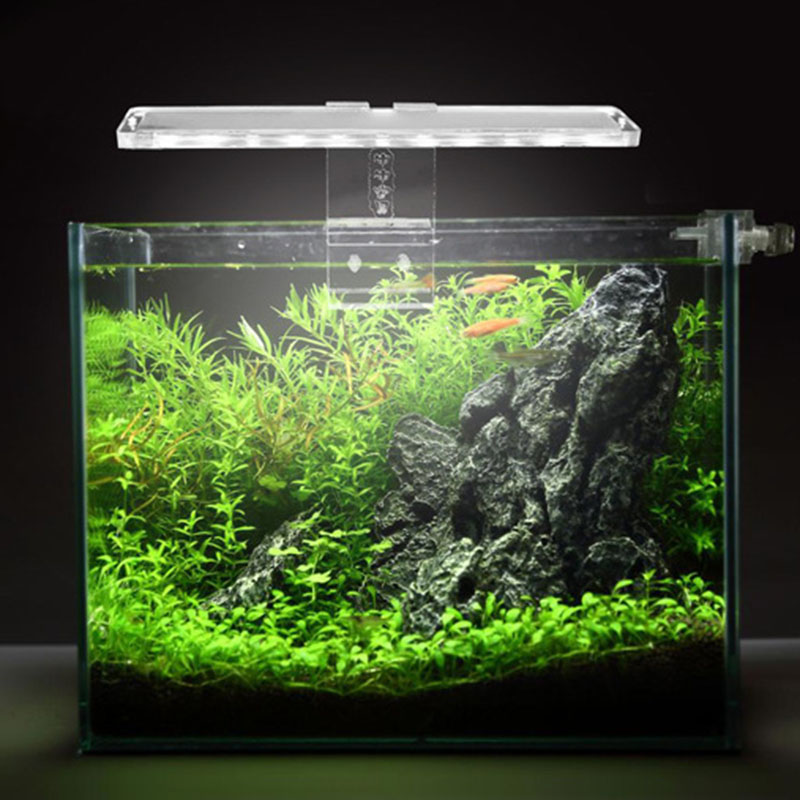 LED Aquarium Lamp Plant Light  - огляд і ціна Planted Aquarium Price