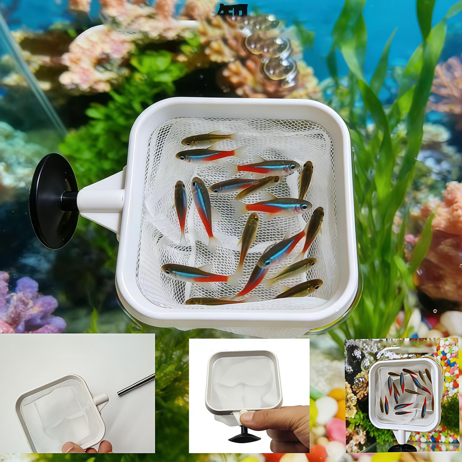 Extendable Long Handle Fine Me - огляд і ціна Aquarium Plant Roots