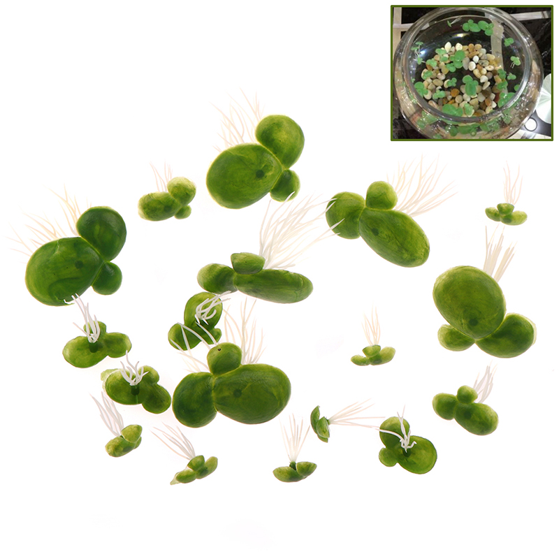 【F】18pcs/set Aquarium Fish Tan - огляд і ціна Aquarium Plant Roots