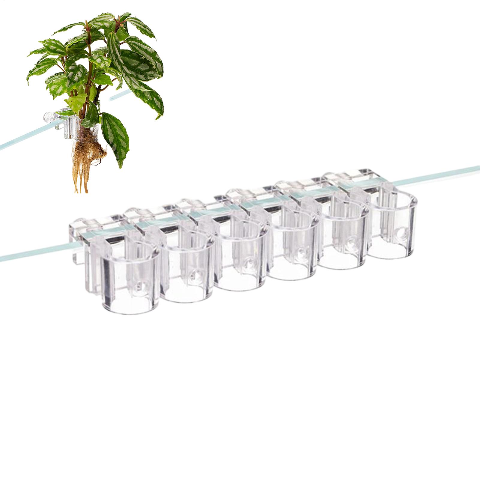 Mini Fish Tank Planter Pot 6Pc - огляд і ціна Planted Aquarium Mini