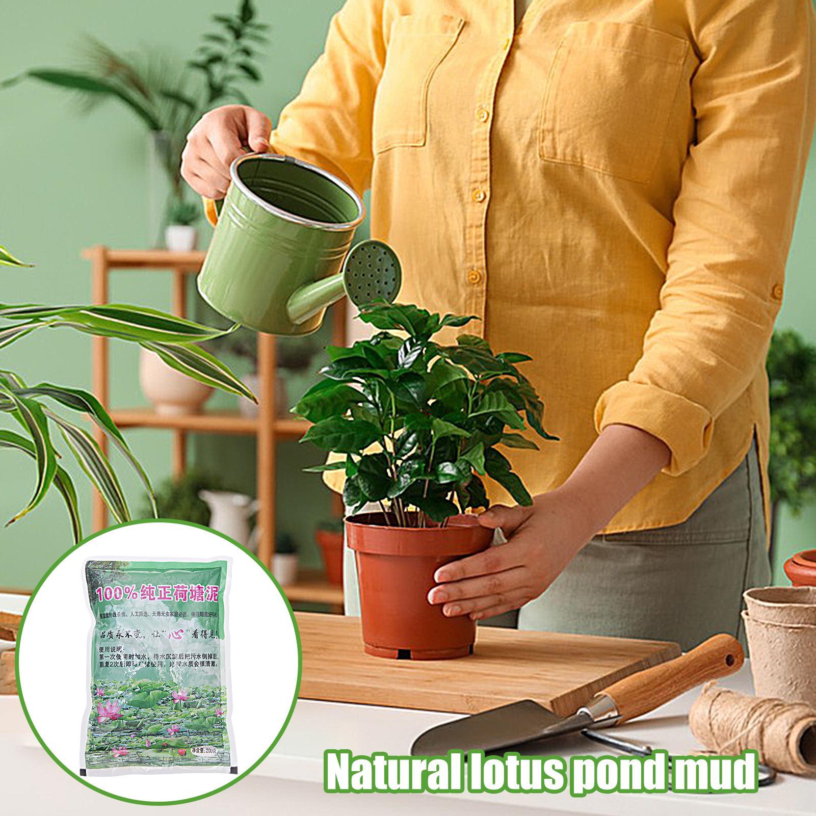 200g/bag Aquarium Soil Natural - огляд і ціна Aquarium Plant Seeds