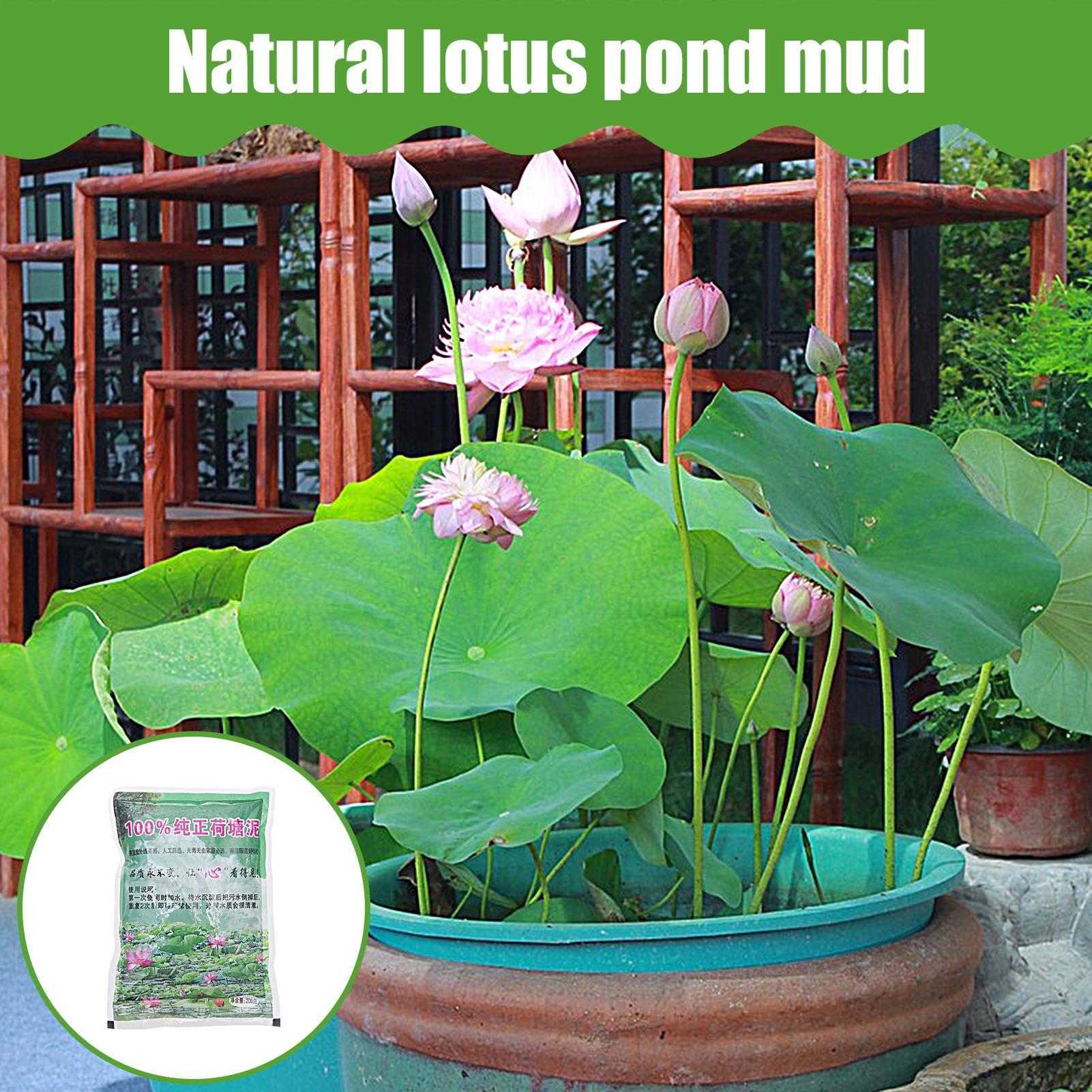 200g/bag Aquarium Soil Natural - огляд і ціна Aquarium Plant Seeds