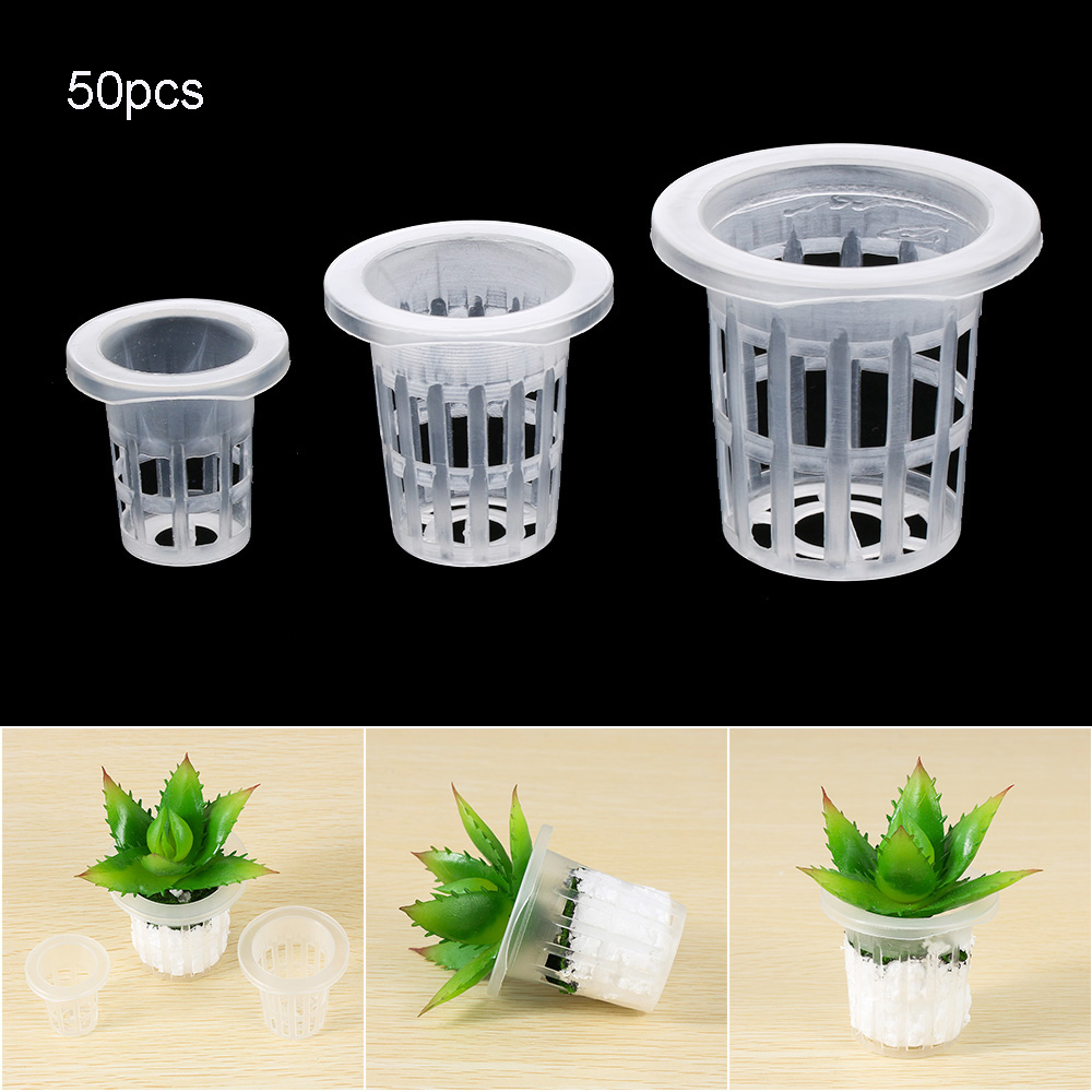 10/50pcs Garden Supplies Aquar - огляд і ціна Aquarium Plant Seeds