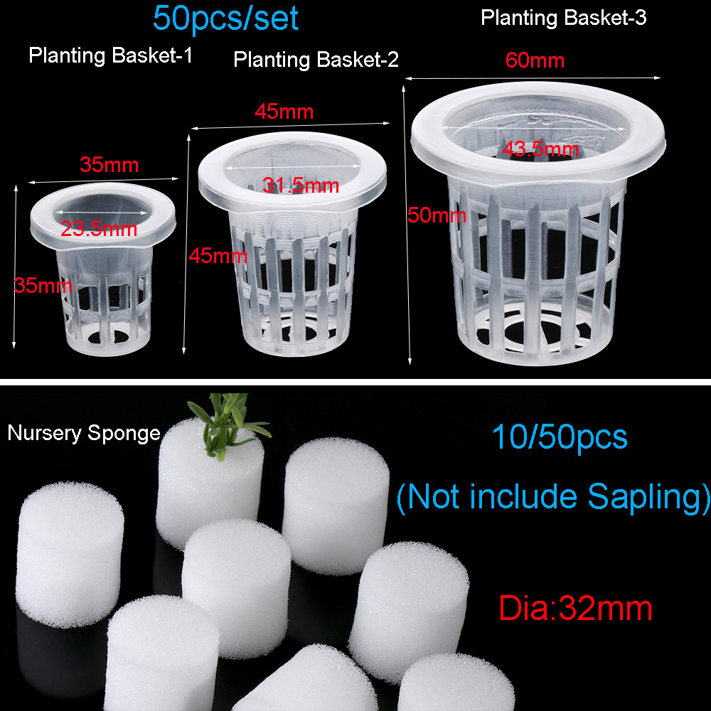 10/50pcs Garden Supplies Aquar - огляд і ціна Aquarium Plant Seeds