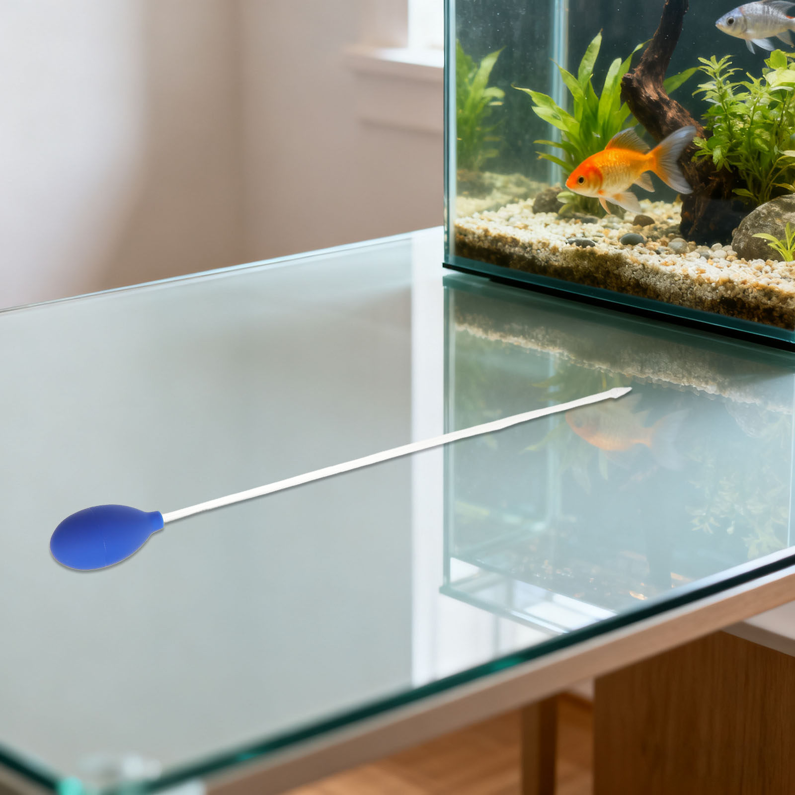 Coral Fish Tank Feeder Aquariu - огляд і ціна Planted Aquarium Youtube