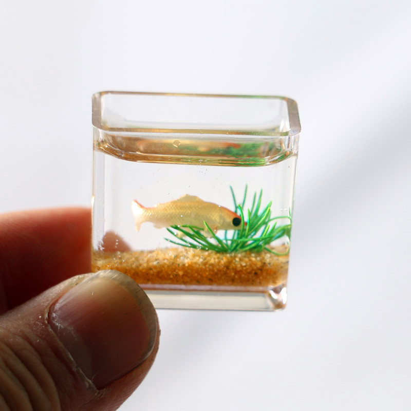 1Pc 1:12 Mini DollHouse Simula - огляд і ціна Planted Aquarium Photos