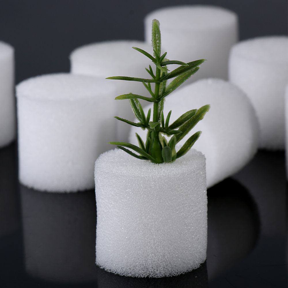 10/50pcs Durable Garden Suppli - огляд і ціна Aquarium Plant Seeds
