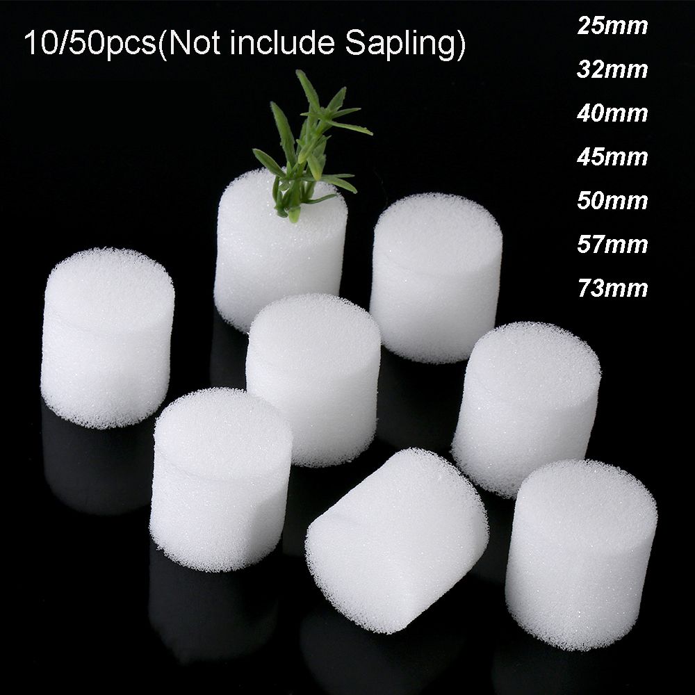 10/50pcs Durable Garden Suppli - огляд і ціна Aquarium Plant Seeds