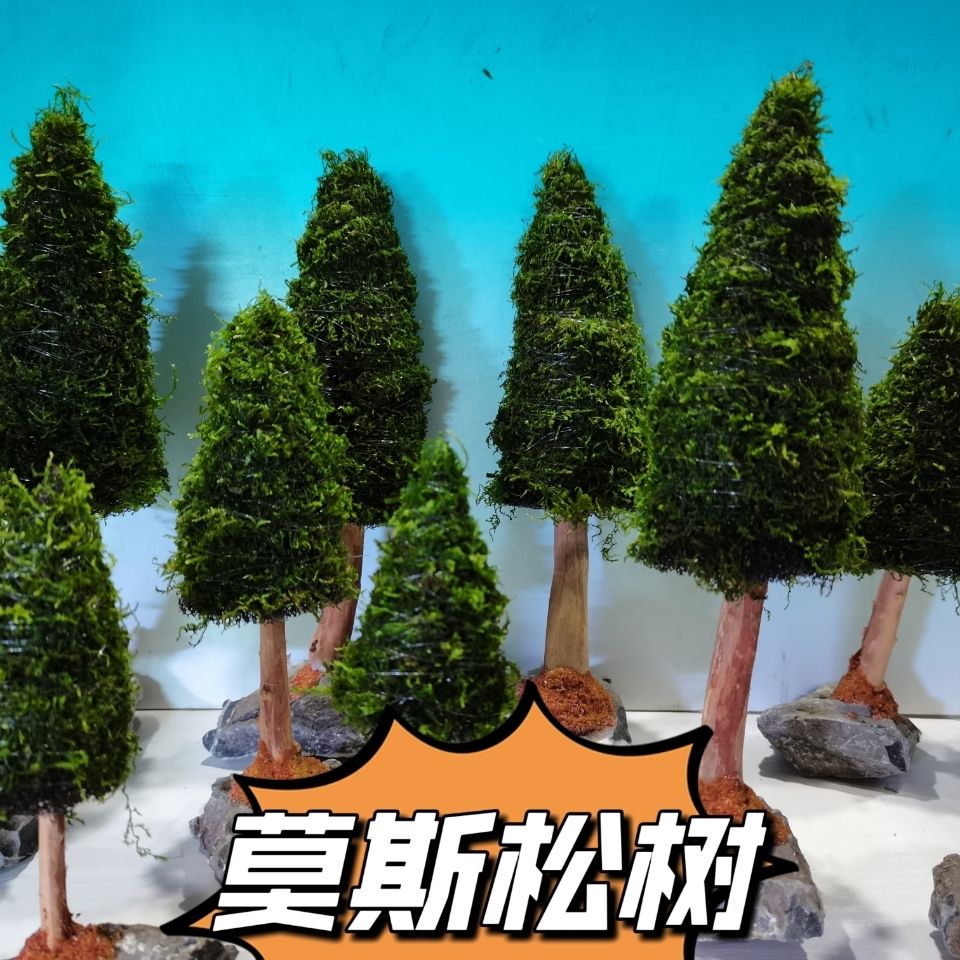 Aquarium Decoration Aquatic Pl - огляд і ціна Aquarium Plant Seeds