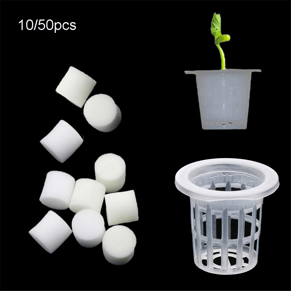 10/50pcs Durable Planting Aqua - огляд і ціна Aquarium Plant Seeds