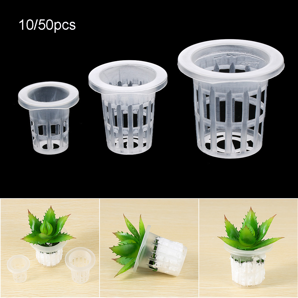 10/50pcs Garden Supplies Plant - огляд і ціна Aquarium Plant Seeds