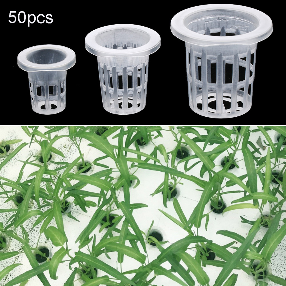 10/50pcs Garden Supplies Plant - огляд і ціна Aquarium Plant Seeds